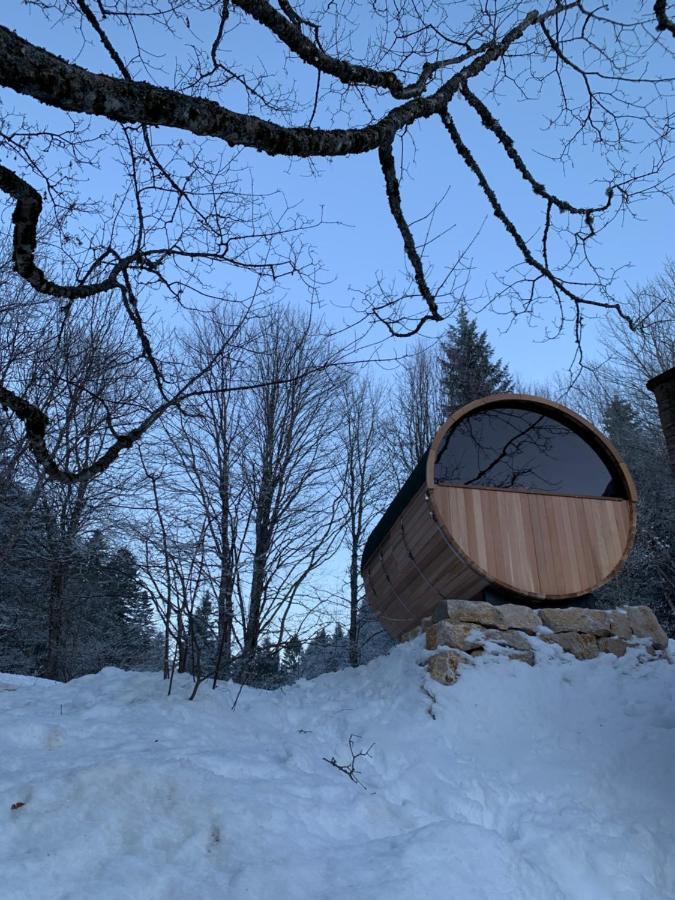 Chalet Ott - Apartment In The Mountains With Sauna Saint-Cergue Εξωτερικό φωτογραφία