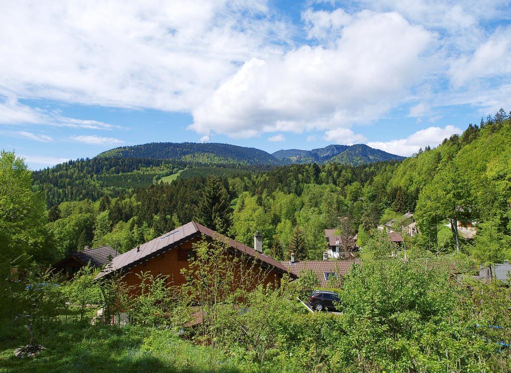 Chalet Ott - Apartment In The Mountains With Sauna Saint-Cergue Δωμάτιο φωτογραφία