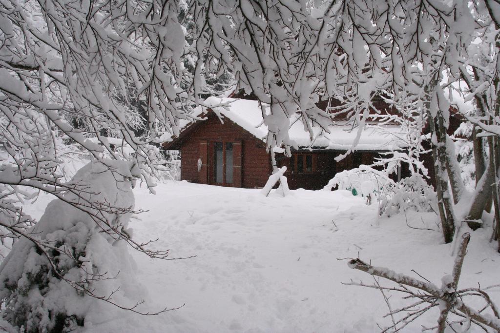 Chalet Ott - Apartment In The Mountains With Sauna Saint-Cergue Δωμάτιο φωτογραφία